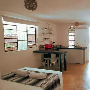 https://selva-y-arte-gratis-renta-bicicletas.quintano-roohotels.com