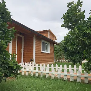 Holiday home The Mussel House, Ksamil
